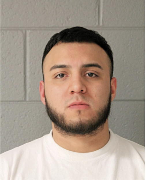 JUAN ALBERTO BOTELLO, Cook County, Illinois