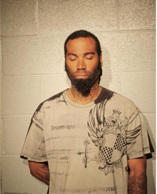 TERRENCE L BRADFORD, Cook County, Illinois