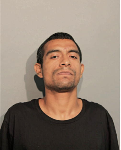 ALEJANDRO FIGUEROA, Cook County, Illinois