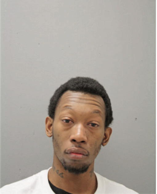 MICHAEL A FLEMING, Cook County, Illinois
