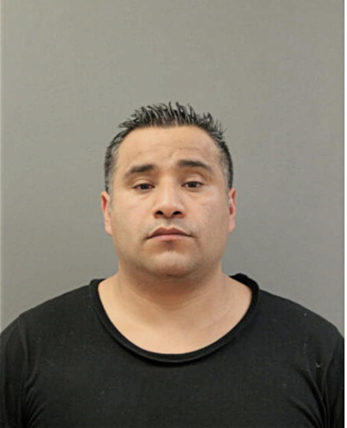 ANGEL FLORES, Cook County, Illinois