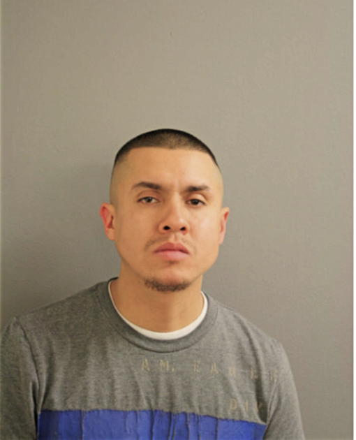 JOSE L GONZALEZ, Cook County, Illinois