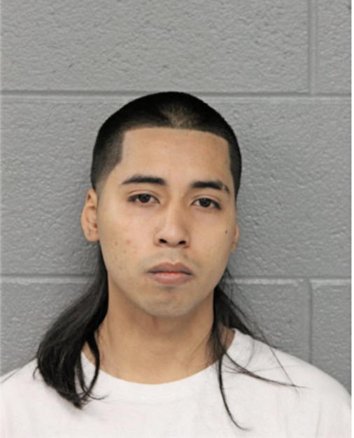 ROLANDO A GRANADOS, Cook County, Illinois
