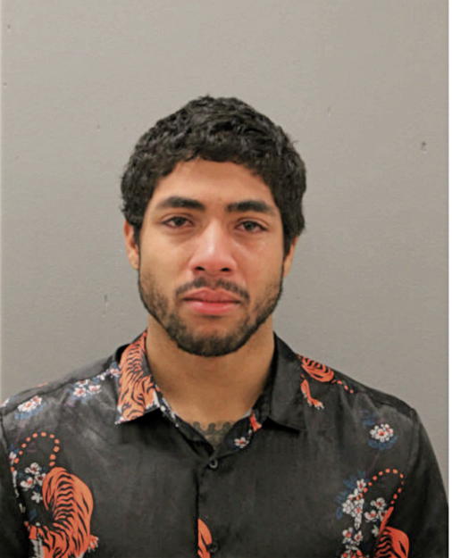 DAVID TRISTIAN JOHNSON, Cook County, Illinois