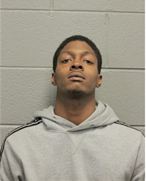 MALIK J JOHNSON, Cook County, Illinois