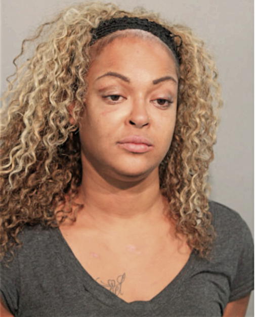TERESA J KASTEL, Cook County, Illinois