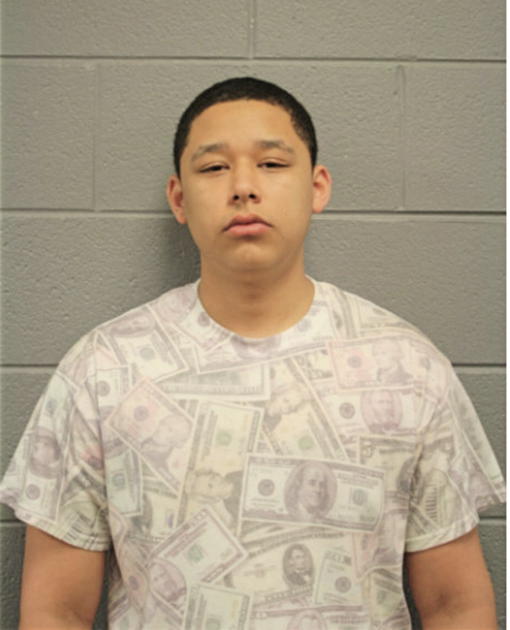 WILLIAM J LUPO, Cook County, Illinois