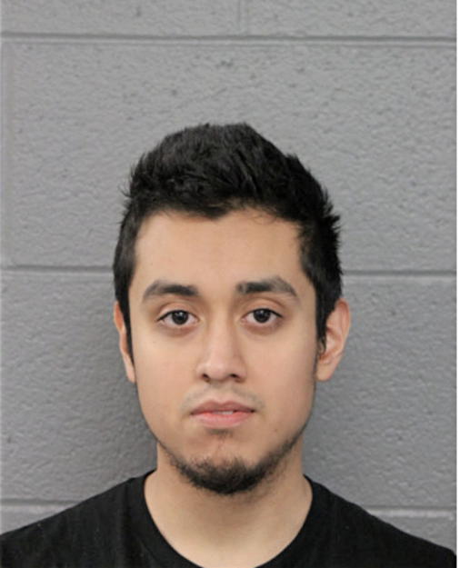 ARTURO MENDEZ-SILVA, Cook County, Illinois