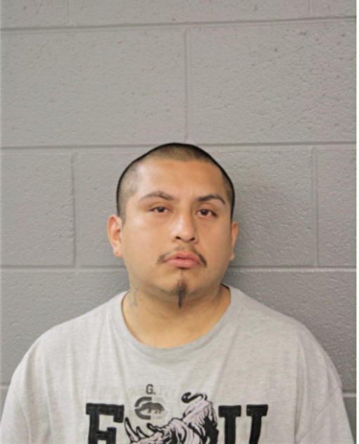 ALEJANDRO OCAMPO, Cook County, Illinois