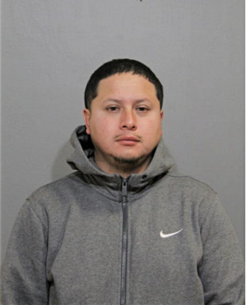 ROBERT E ORTEGA, Cook County, Illinois