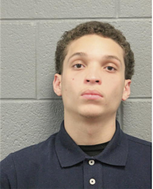 THOMAS PALMER, Cook County, Illinois