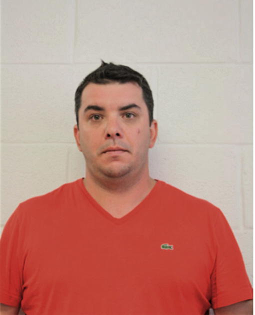 MICHAEL P PERRY, Cook County, Illinois