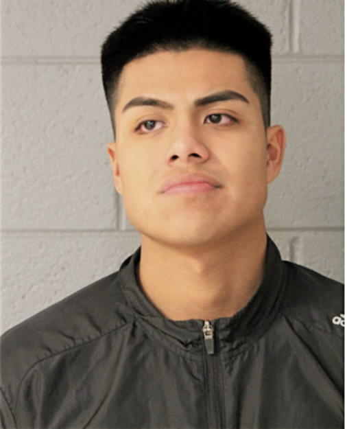 LEONARDO SANDOVAL, Cook County, Illinois