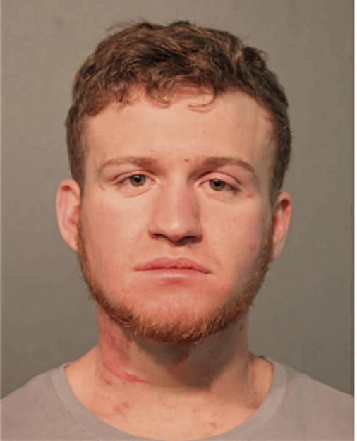 MAX SANKO, Cook County, Illinois