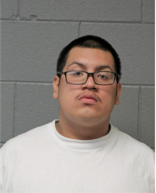 TERRY SOSA, Cook County, Illinois