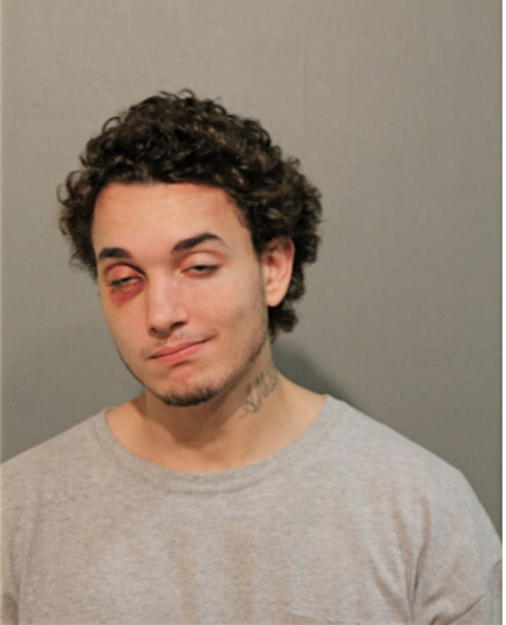 NELSON L VASQUEZ, Cook County, Illinois