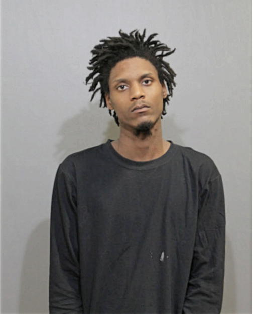 GREGORY B WILSON, Cook County, Illinois