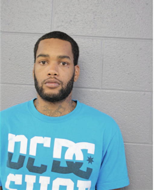NATHAN C WOELFEL, Cook County, Illinois