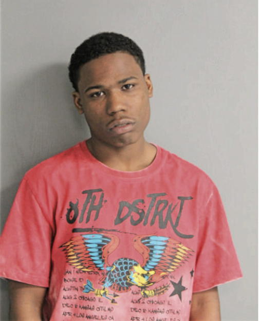 ARNOLD M YOUNG, Cook County, Illinois