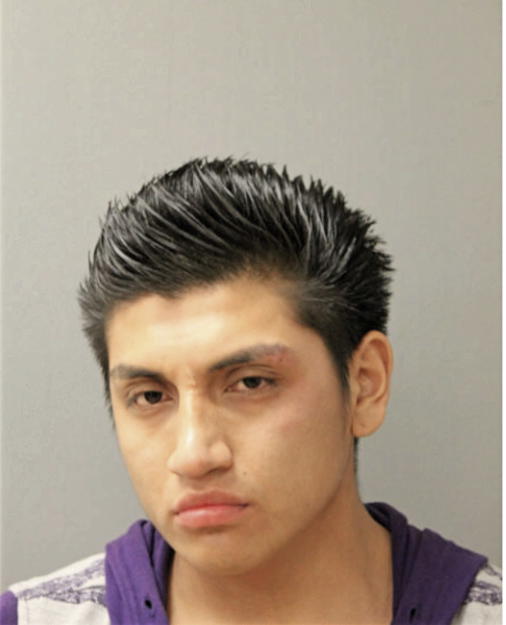 CARLOS F ZAMBRANO, Cook County, Illinois