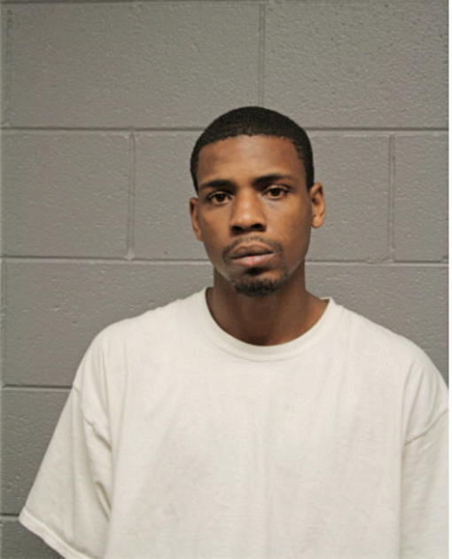 MICHAEL R ADAMS, Cook County, Illinois