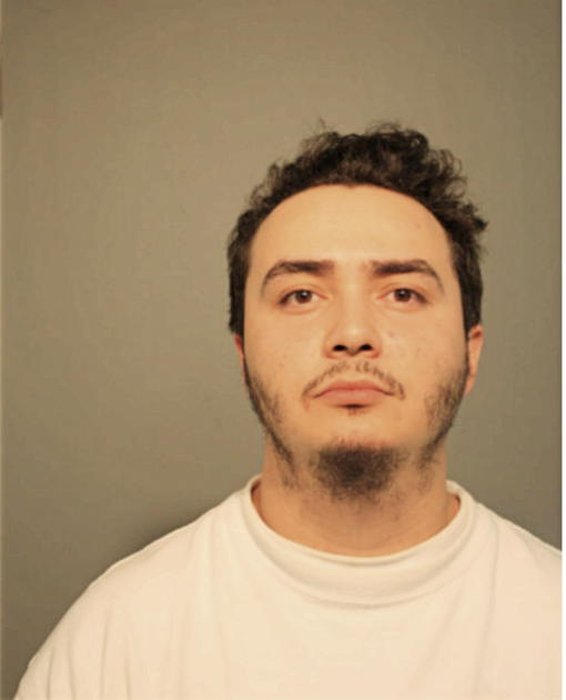 MICHEAL A ALICEA, Cook County, Illinois
