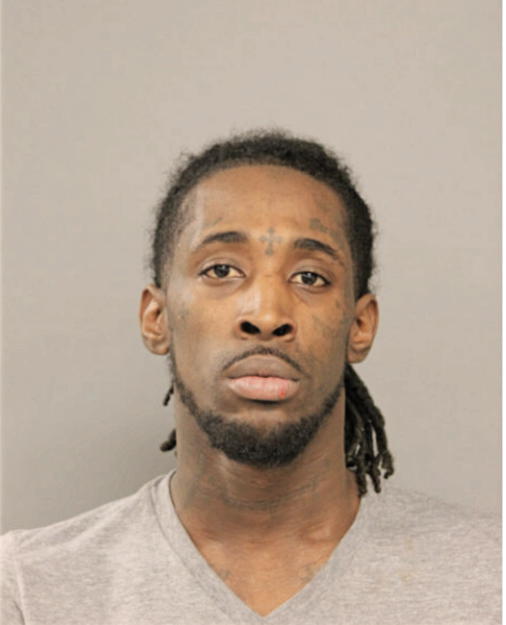 DANIEL J BURLEY, Cook County, Illinois