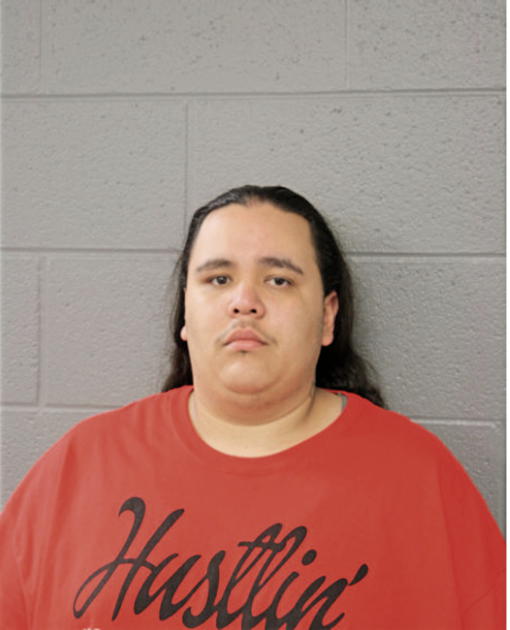 ERIC M CARMOLINGA, Cook County, Illinois