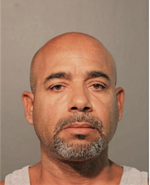 LUIS R DEJESUS, Cook County, Illinois