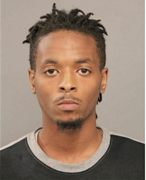 AARON A ESSEX, Cook County, Illinois