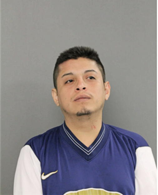 OSCAR ESTRADA-AYALA, Cook County, Illinois