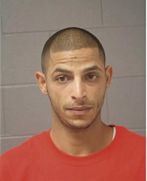 JANATHAN F GEORGES, Cook County, Illinois