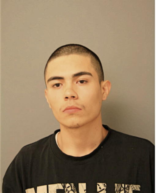 JUAN C FLORES, Cook County, Illinois