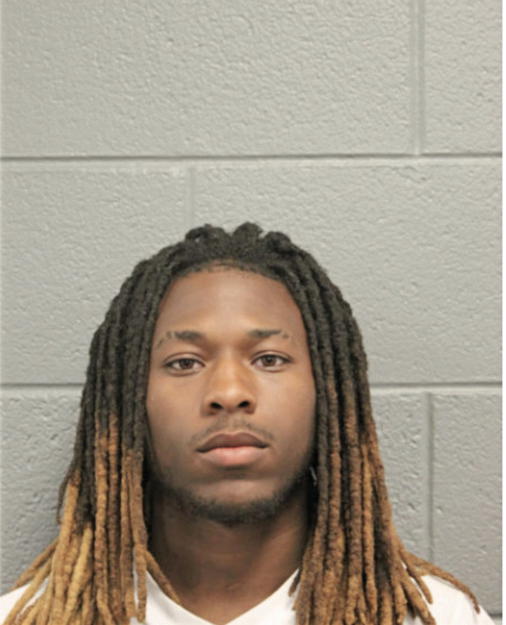 TERRANCE A GRIGGS, Cook County, Illinois