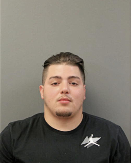 ALCIDES M HERNANDEZ, Cook County, Illinois
