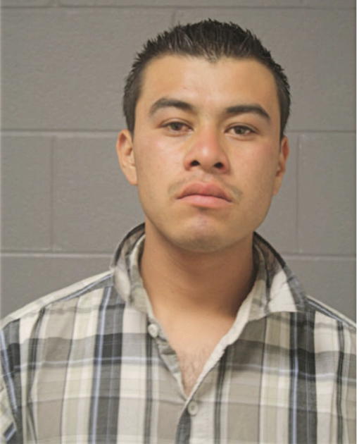 CHRISTIAN D HERNANDEZ, Cook County, Illinois