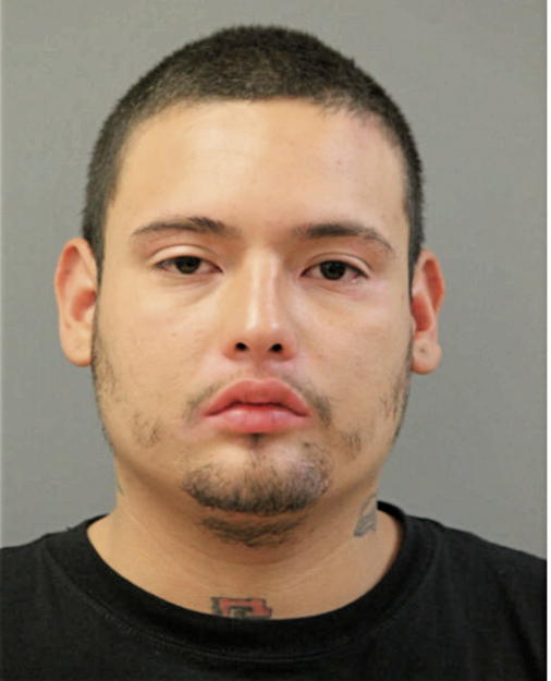 LUIS M HERNANDEZ, Cook County, Illinois