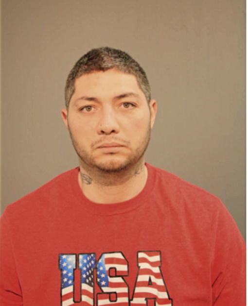 MICHAEL H ISHII, Cook County, Illinois