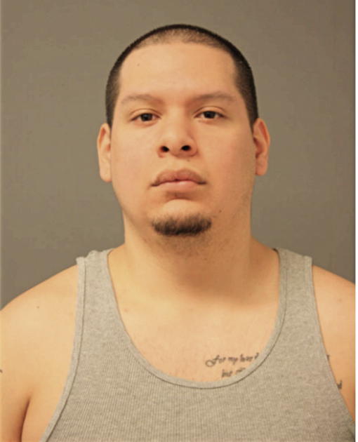 JESUS M MARISCAL, Cook County, Illinois