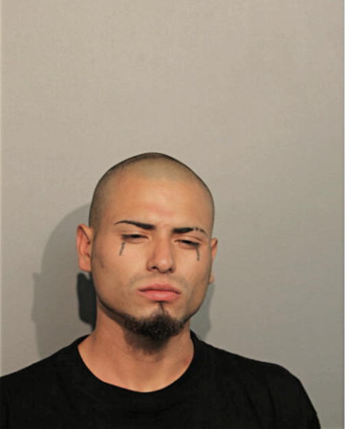 KEUWER NUNEZ, Cook County, Illinois