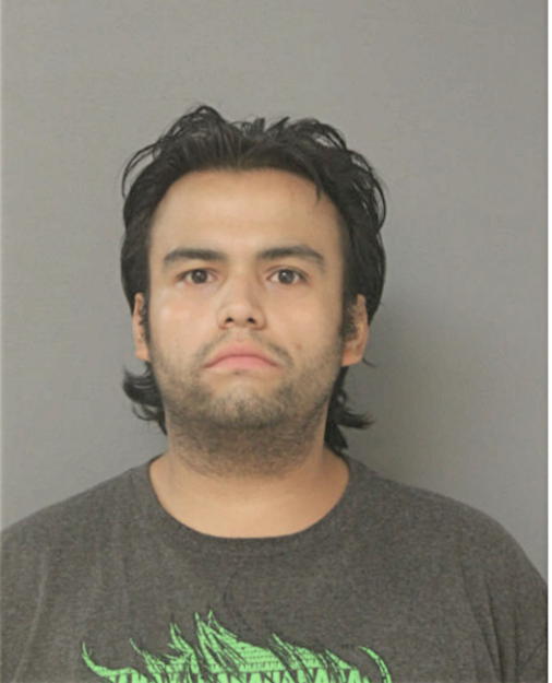 MICHAEL A NUNEZ-MARTINEZ, Cook County, Illinois