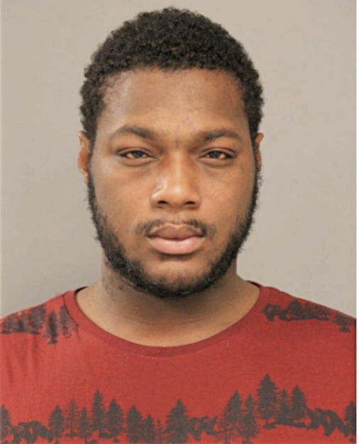DARNELL L PROFIT, Cook County, Illinois