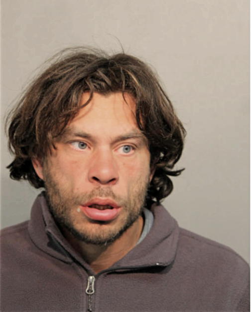 DION L SCARDINA, Cook County, Illinois