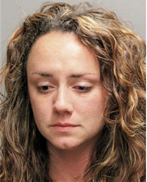 REBECCA D TISCHLER, Cook County, Illinois