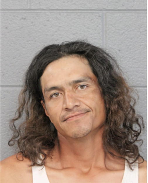 MIGUEL A ARREAGA, Cook County, Illinois