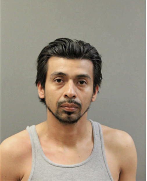 ALBERTO BAHENA, Cook County, Illinois