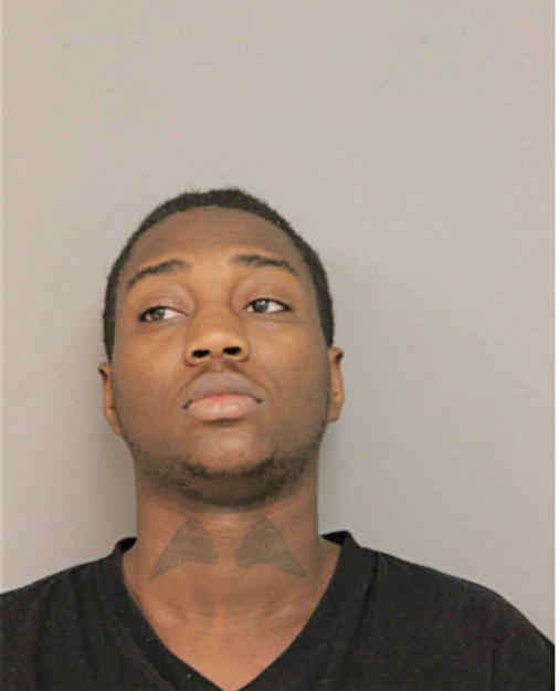 TERRELL D BELL, Cook County, Illinois