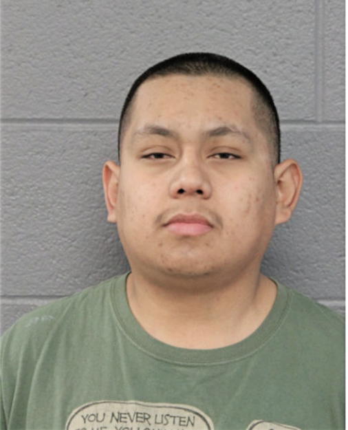 JAVIER BRAYAN CASTANEDA, Cook County, Illinois