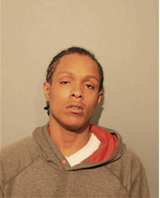 RICARDO S DAVIS, Cook County, Illinois