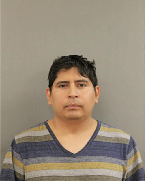 CARLOS H HERNANDEZ, Cook County, Illinois